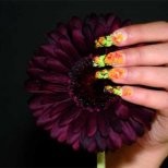 оранжеви пролетни цветя на дълги нокти