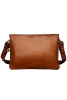Малка чанта с дълга дръжка гладка кожа в кафяво Delvaux Есен-Зима 2011
