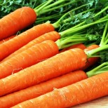 моркови Във всичко трябва да има мярка. С морковите е същата ситуация: те не бива да се ядат много, защото сокът от моркови може да доведе до сънливост, летаргия, главоболие.