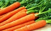 моркови Във всичко трябва да има мярка. С морковите е същата ситуация: те не бива да се ядат много, защото сокът от моркови може да доведе до сънливост, летаргия, главоболие.