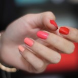 всички нюанси на корала