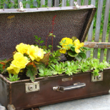 цветна леха в стария куфар
