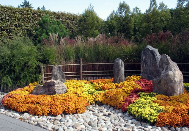каменна градина с цветя