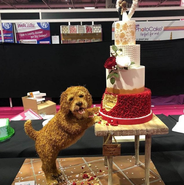 куче торта