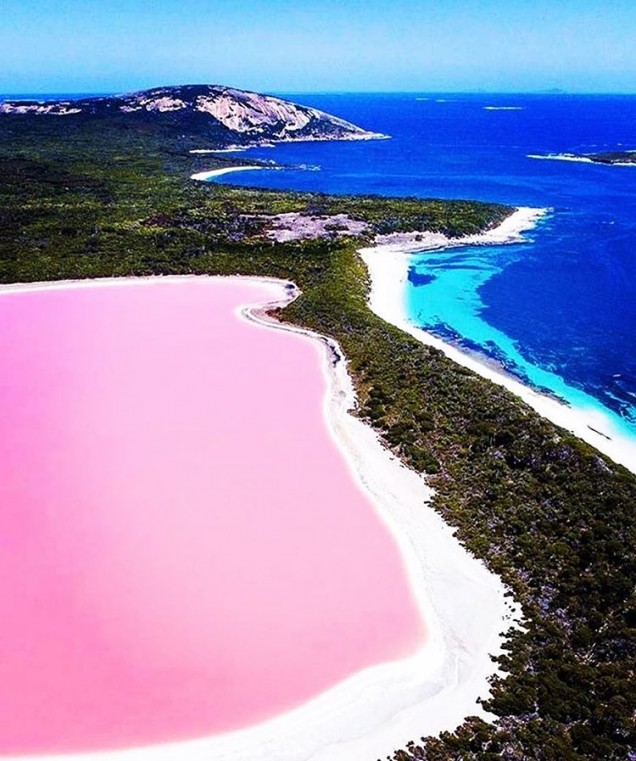 розово езеро, Австралия