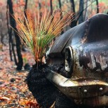 Горите от пожарите в Австралия 