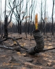Има ли още пожари в Австралия