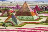 Това трябва да е Раят на земята! Градината на чудесата - цветен разкош насред пустинята (Снимки):