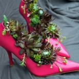 цветя в старите обувки