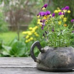 цветарник от стария чайник