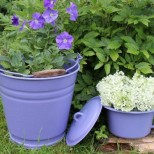 цветарник в старата кофа