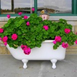 цветя във вана