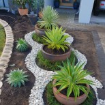 растения в двора