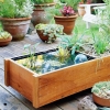 16 идеи как да си направим водна саксия за вкъщи или градината (снимки)
