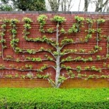 оригинална тухлена ограда