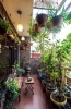 Градски оазис на балкона - 20 цветни идеи за отдих през лятото (Снимки):