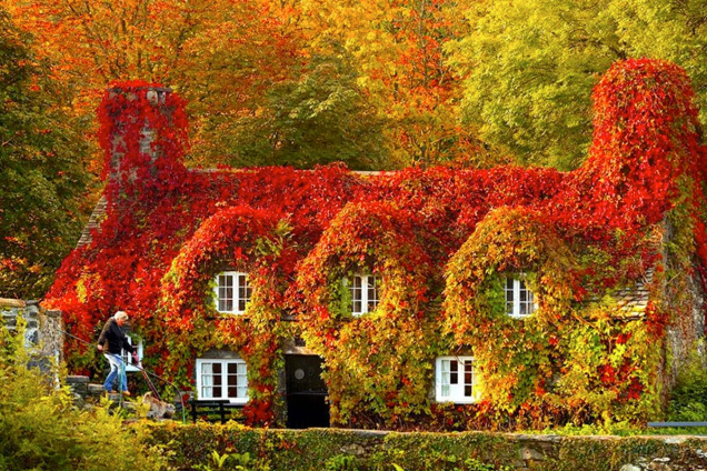 есен в Уелс