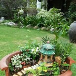 алпинеум в двора