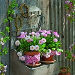 цветно кътче в двора