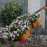 цветя в стария контрабас