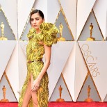 звездни изцепки.jpeg