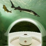 най-скъпият дом аквариум