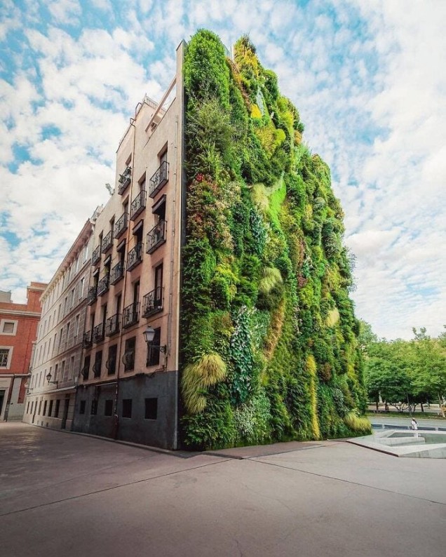вертикална градина Мадрид