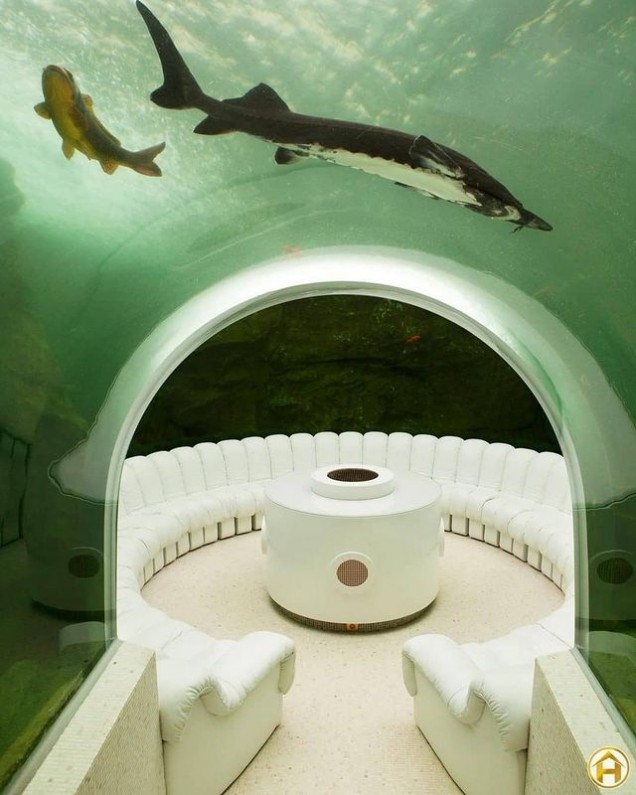 най-скъпият дом аквариум