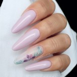 дълъг пролетен маникюр деликатен