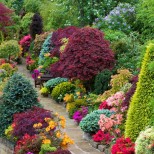 цветна градинска алея