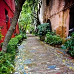 шарена градинска алея