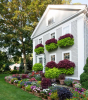 Ако нямате място за градина, направете си градина на прозореца! 16 цветни идеи за висящи лехи (СНИМКИ)