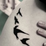 Татуировки ято лястовички