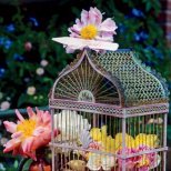 Декорация цветя в кафез за птици