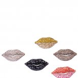 Брошки устни в различен цвят Sonia Rikyel Есен-Зима 2011