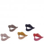 Брошки устни няколко цвята Sonia Rikyel Есен-Зима 2011