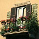 Малък балкон с цветя