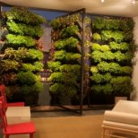 Тераса със стени с растения