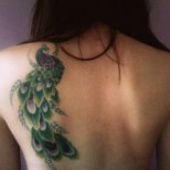 Татуировка цветен паун на гърба