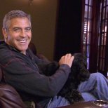 Джордж Клуни с куче