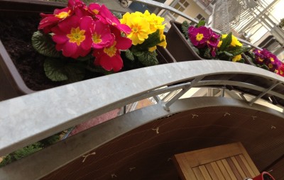 Пролетни цветя по парапета на балкона