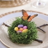 Декорация за чиния на Великден гнездо