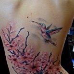 Татуировка на гърба цъфнало дърво и колибри