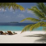 Coco Palm Bodu Hithi на Малдивите 21