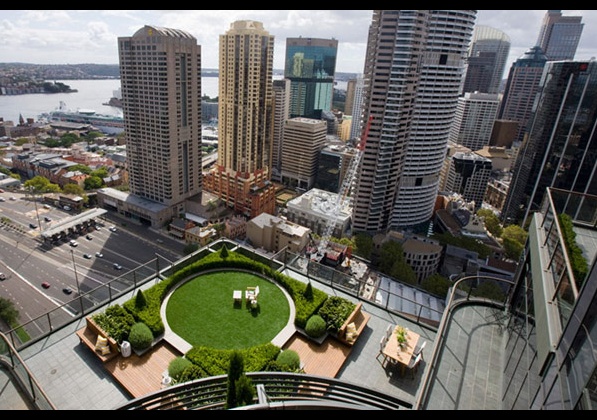 уникална градина на покрива сред небостъргачи 1