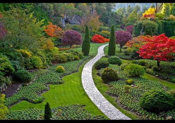 красива градина 3