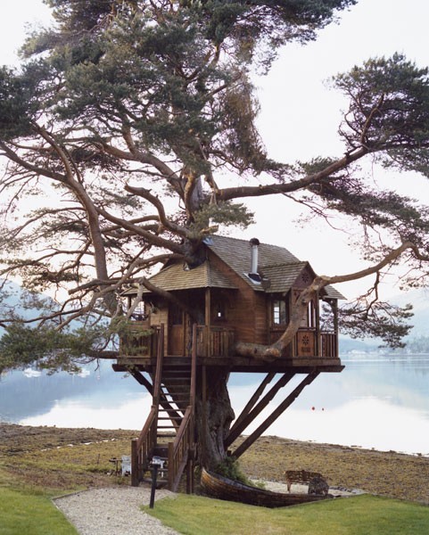 Къща на дървото, Шотландия