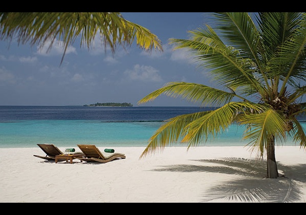 Coco Palm Bodu Hithi на Малдивите 21