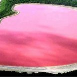 розовото езеро Хилиър