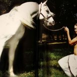 Голи снимки на Анджелина Джоли с кон